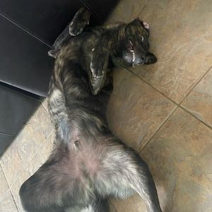 Meet your Posher, Norbert